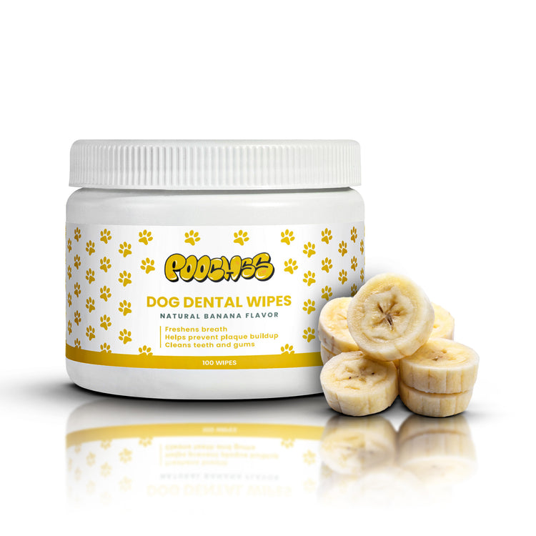 Dog Dental Wipes