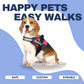 HarnessPup™ Personalized Dog Harness